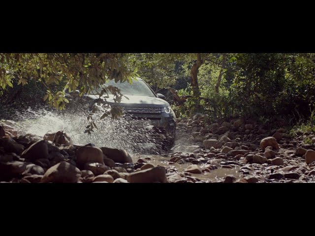 Land Rover: Rupestre